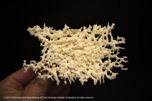 First choroidal 3D model printed in 2011 by Cyrill Gyger using selective laser sintering with natural white polyamide shows a healthy, dense central choroidal vessel network of the macula. The gap to the left depicts the area occupied by the optic disc (model size 120 mm x 75 mm x 8 mm).© 2017 OCTlab University of Basel, Switzerland. All rights reserved.